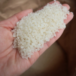 新米受付開始しました！大人気！是非一度食べてみてください😊　令和...