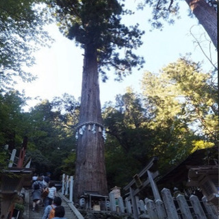 １９日(水)パワースポットでプチ登山しませんか？京都・貴船/鞍馬 - 京都市