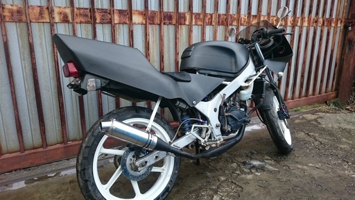 ホンダ　NS-1　N1 カスタム　整備済み　ビッグキャブ