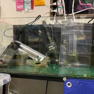 GEX オールガラス45cmスリム水槽+おまけ