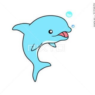 新規チーム　【木鞍Dolphins】メンバー募集‼︎