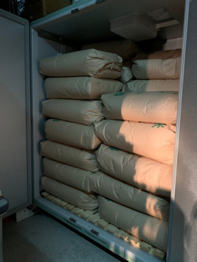 お米　令和元年　きぬひかり