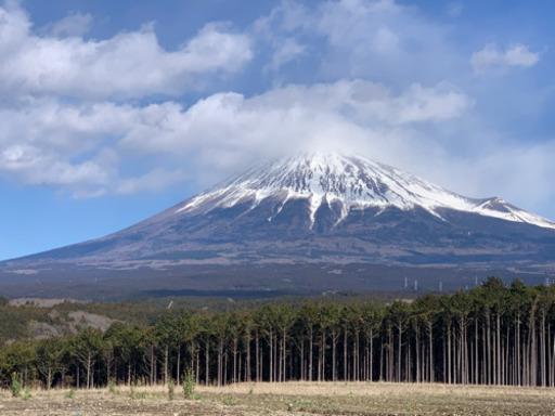 富士山⁇譲ります 富士山を望む広大な土地を売ります‼️ (misapoo) 富士の土地販売/土地