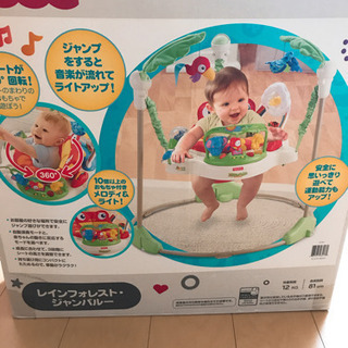 レインフォレスト　ジャンパルー　フィッシャープライス