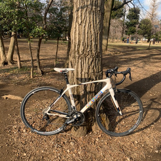 Cinelli SAETTA カーボンフレーム105完成車 XS チネリCinelli