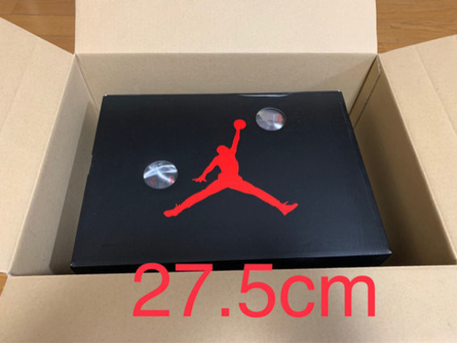 エアジョーダン 5 レトロ SP 27.5