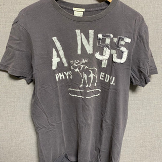 abercrombie&fich Tシャツ
