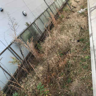 ☆ 植木屋をしております。