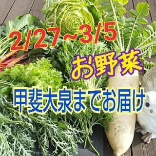 27~3/5日甲斐大泉の付近の方‼️お野菜お届けします😊