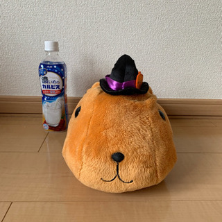 カピバラさん ハロウィンぬいぐるみ