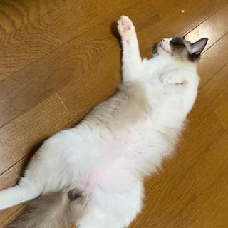 たくさんのお問い合わせありがとうございました。