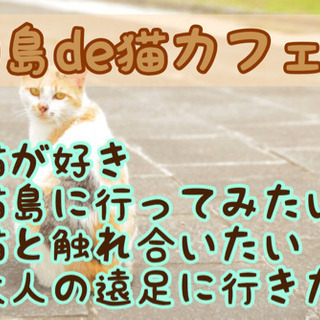 福岡趣味友！猫好き集まれ♫2/23（日）11時10分集合！相島d...