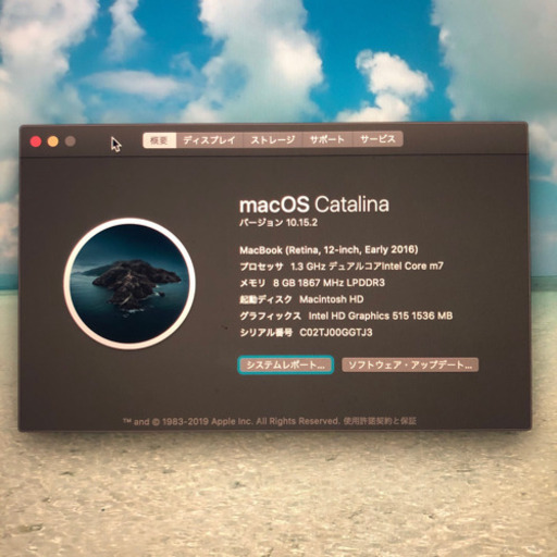 CPUカスタム済　美品☆MacBook12インチ