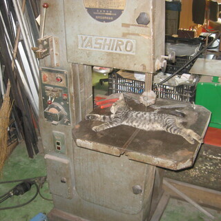 材木を切断するのなら工具使えば★猫のヘルプあり（笑）★　リタイヤおやじ
