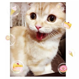 可愛い桃ちゃん