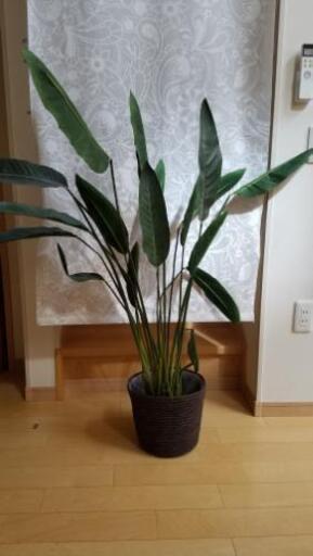 観葉植物の造花