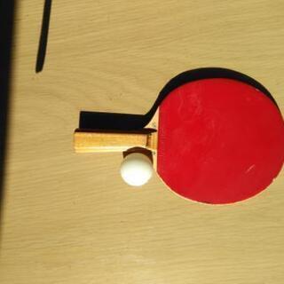 軽井沢東信🏓明るい時間帯に卓球できるサークルまたは人