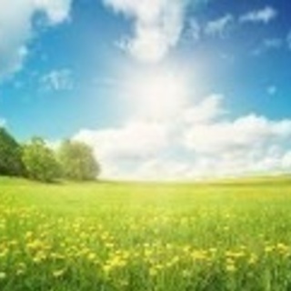 お悩み相談と身体ほぐし
