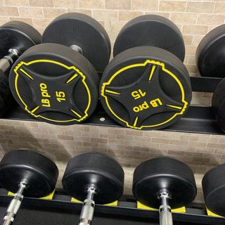 TPUダンベル 15kg 2個