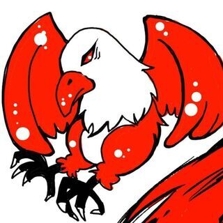 草野球【広報部】募集