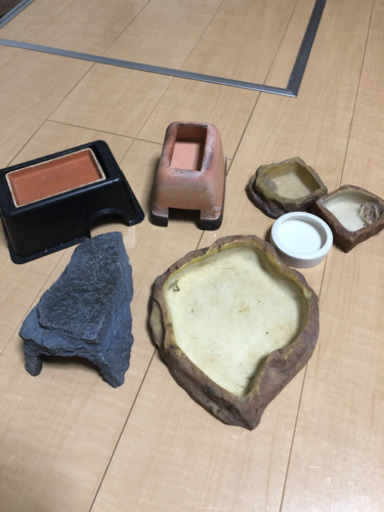 引き取り限定爬虫類飼育セット