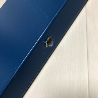 子供 ベッド 身長式 IKEA ブースンゲ ホワイトとブルーの画像