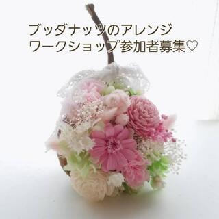 春のワークショップ(延期です)