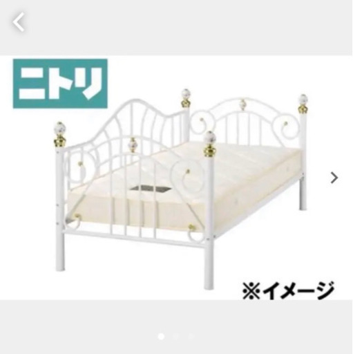 ニトリシングルベット　パイプ　姫系　ジュリア