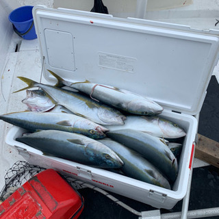 釣った魚！
