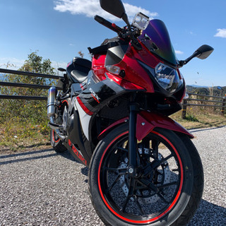 スポーツタイプ　250cc 〜