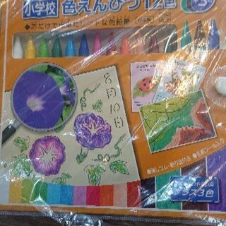 お話し中 新品 ぺんてる 色えんぴつ(日本製)の画像