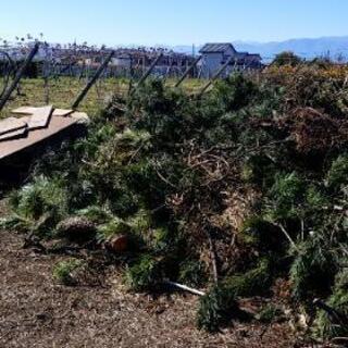 🌴広大な敷地や庭の雑草、雑木でお困りなら🌴 - 笛吹市
