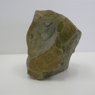 北海道　三笠市　発掘　化石　コレクション品　いろいろ　7/15の画像