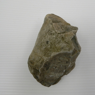 北海道　三笠市　発掘　化石　コレクション品　いろいろ　5/15の画像