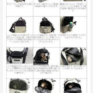 celltei　セルティ　リュック　Lサイズ　中古の画像