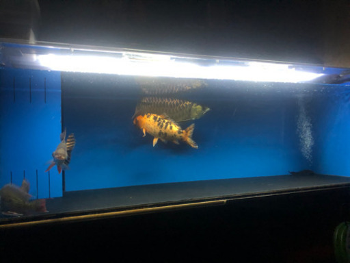 1500水槽