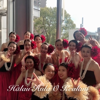 🌷名古屋・中村フラダンス🌷の画像