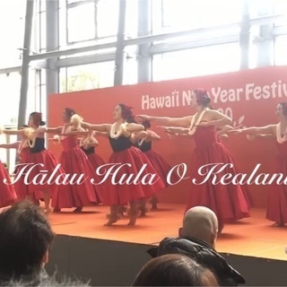 🌷名古屋・中村フラダンス🌷の画像