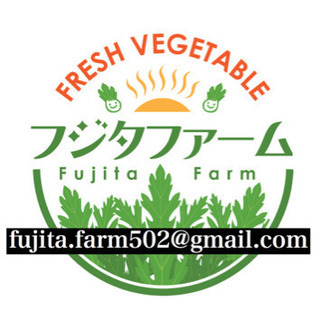 軟弱野菜(春菊、水菜等)の収穫、袋詰作業の画像