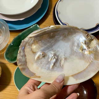 【2/24まで】お皿23点セット　なんと1000円！！の画像