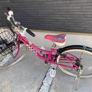 子供用自転車　ブリジストン☆ワイルドベリー☆22インチ