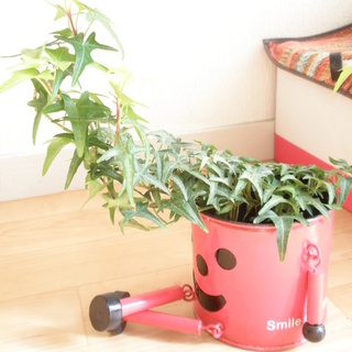 【交渉中】ニトリ大判枕+カバー+ブランケット（多分、子供用）+小物入れ（植木鉢）の画像