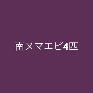 ミナミヌマエビ4匹　熱帯魚　淡水魚