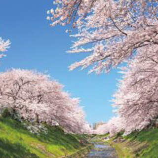 日本語教室 Japanese class