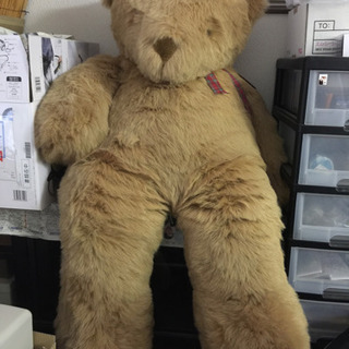 クマぬいぐるみ