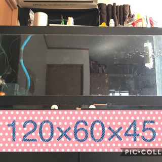 決まりました！120センチ水槽背面ブラック