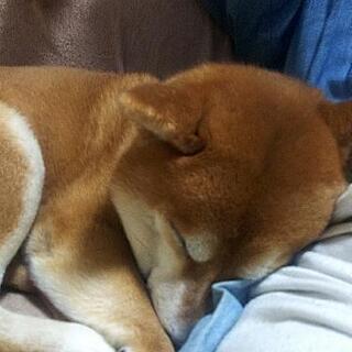 暇してます😃