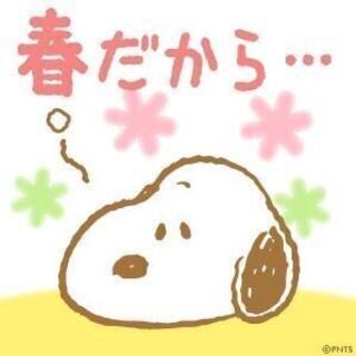 新バンド結成メンバー募集してます‼️