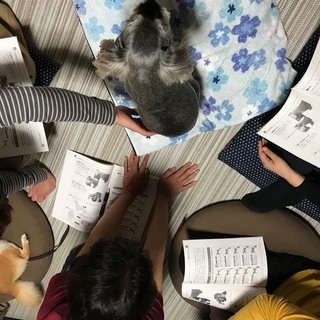 6/21開催　（間もなく締切）　///  免疫力アップ(U´Д`)ﾜﾝﾜﾝ　学びませんか？///   日本ペットマッサージ協会 / 公認アカデミックセミナー (大阪会場)の画像
