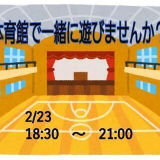 体育館でスポーツゲーム